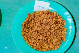 Honey Coffee