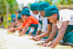 MUSASA Coffee School