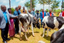 Dairy Project